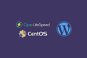 独立服务器，独立IP，OpenLiteSpeed+WordPress只需要5美金！