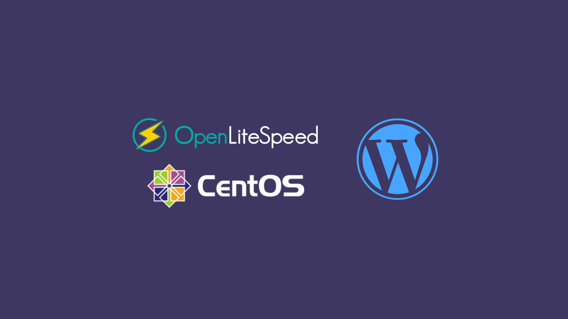 独立服务器，独立IP，OpenLiteSpeed+WordPress只需要5美金！